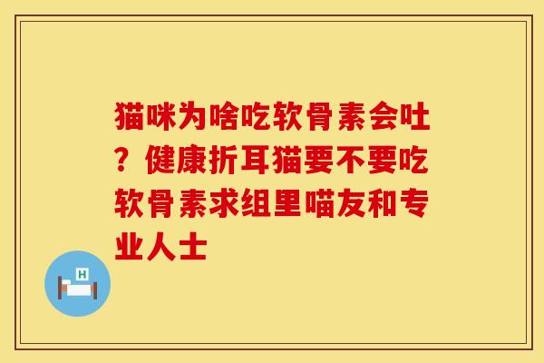 猫咪为啥吃软骨素会吐？健康折耳猫要不要吃软骨素求组里喵友和专业人士