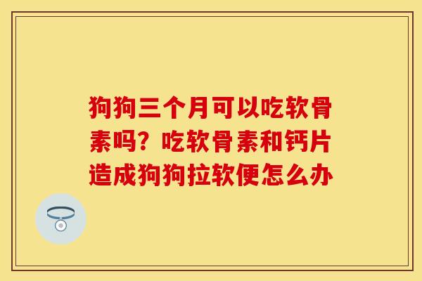 狗狗三个月可以吃软骨素吗?吃软骨素和钙片造成狗狗拉软便怎么办 狗狗三个月可以吃软骨素吗?吃软骨素和钙片造成狗狗拉软便怎么办