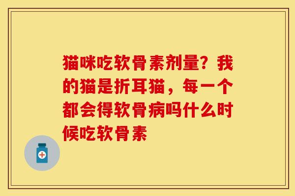 猫咪吃软骨素剂量？我的猫是折耳猫，每一个都会得软骨病吗什么时候吃软骨素