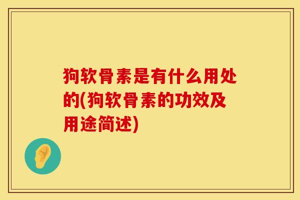 狗软骨素是有什么用处的(狗软骨素的功效及用途简述)