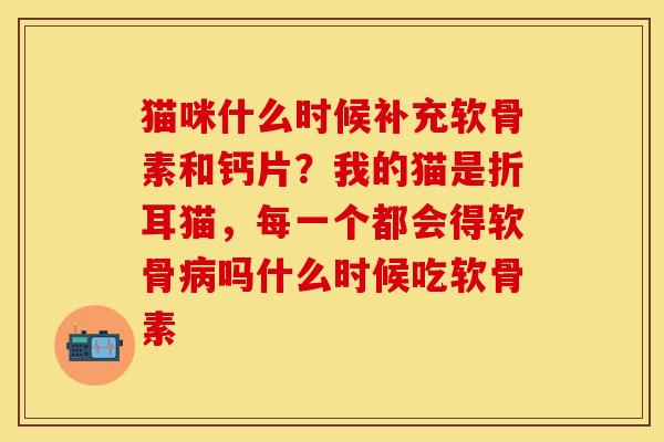 猫咪什么时候补充软骨素和钙片？我的猫是折耳猫，每一个都会得软骨病吗什么时候吃软骨素