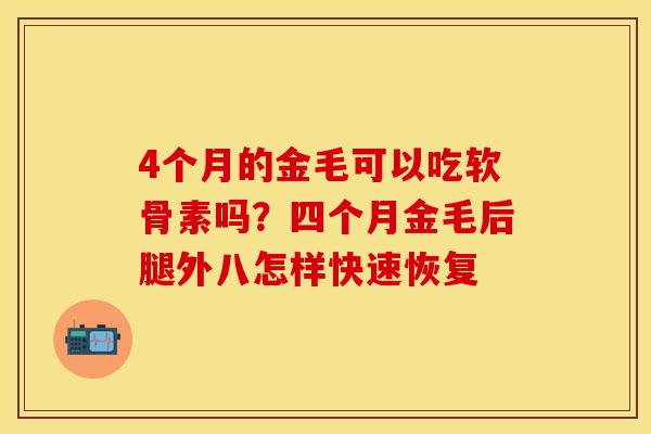 4个月的金毛可以吃软骨素吗？四个月金毛后腿外八怎样快速恢复