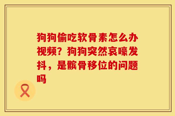 狗狗偷吃软骨素怎么办视频？狗狗突然哀嚎发抖，是髌骨移位的问题吗