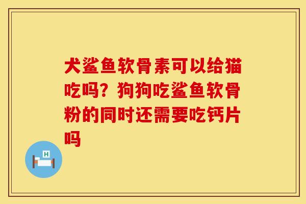犬鲨鱼软骨素可以给猫吃吗？狗狗吃鲨鱼软骨粉的同时还需要吃钙片吗
