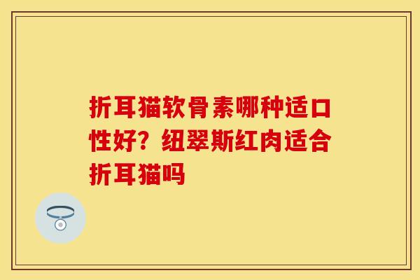 折耳猫软骨素哪种适口性好？纽翠斯红肉适合折耳猫吗