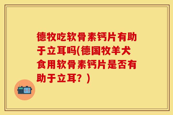 德牧吃软骨素钙片有助于立耳吗(德国牧羊犬食用软骨素钙片是否有助于立耳？)