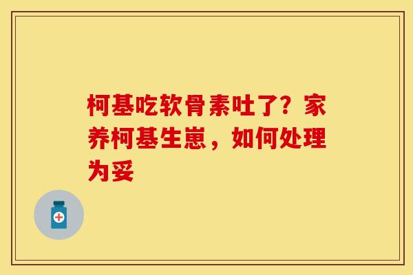 柯基吃软骨素吐了？家养柯基生崽，如何处理为妥