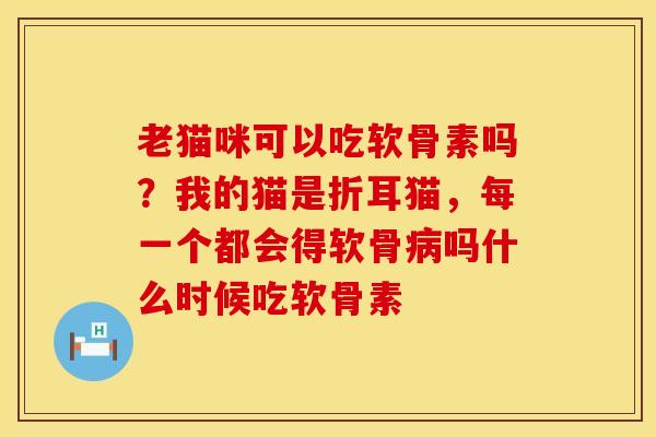 老猫咪可以吃软骨素吗？我的猫是折耳猫，每一个都会得软骨病吗什么时候吃软骨素