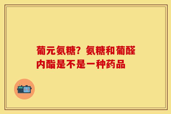 葡元氨糖？氨糖和葡醛内酯是不是一种药品