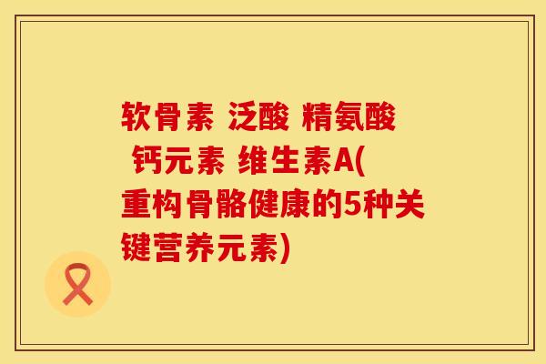 软骨素 泛酸 精氨酸 钙元素 维生素A(重构骨骼健康的5种关键营养元素)