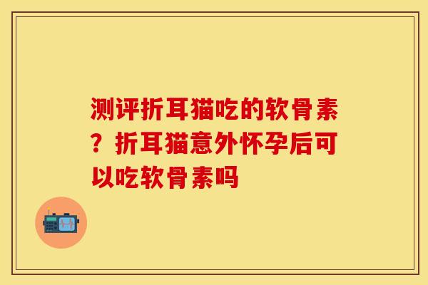 测评折耳猫吃的软骨素？折耳猫意外怀孕后可以吃软骨素吗