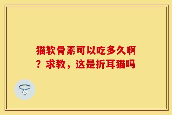 猫软骨素可以吃多久啊？求教，这是折耳猫吗