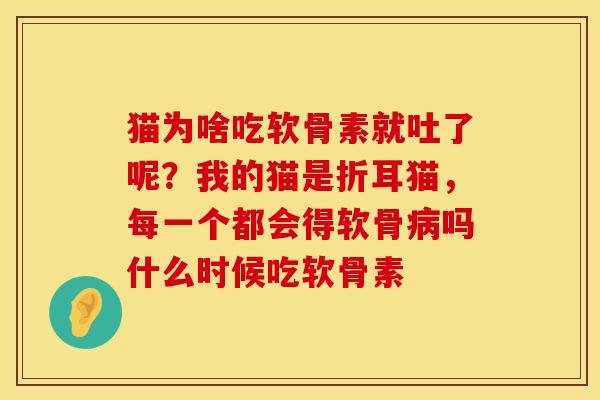 猫为啥吃软骨素就吐了呢？我的猫是折耳猫，每一个都会得软骨病吗什么时候吃软骨素