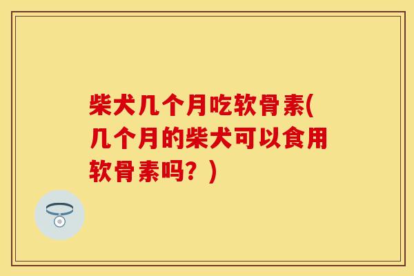 柴犬几个月吃软骨素(几个月的柴犬可以食用软骨素吗？)