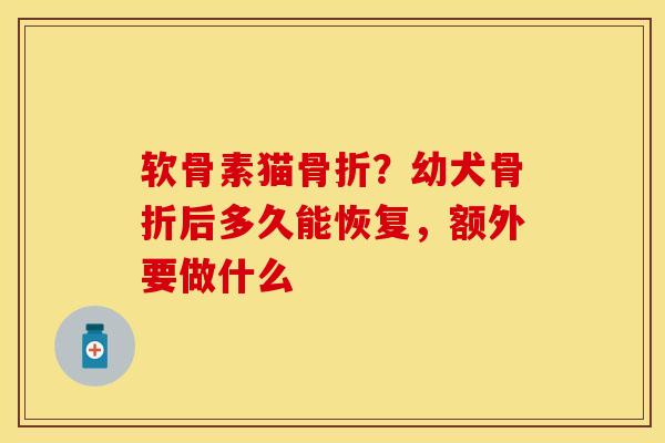 软骨素猫骨折？幼犬骨折后多久能恢复，额外要做什么