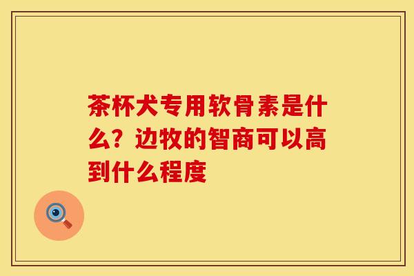 茶杯犬专用软骨素是什么？边牧的智商可以高到什么程度