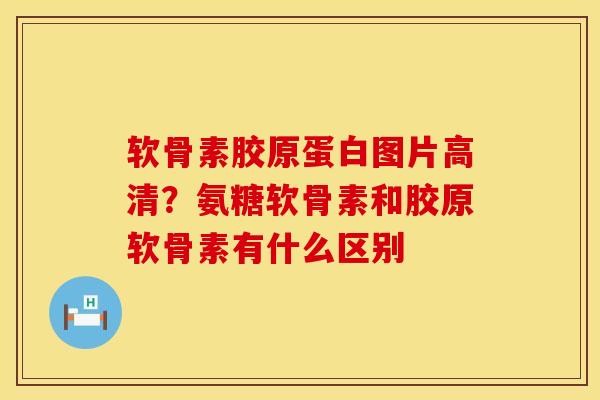 软骨素胶原蛋白图片高清？氨糖软骨素和胶原软骨素有什么区别