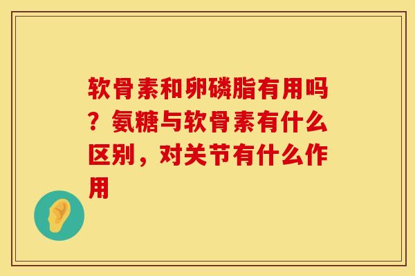 软骨素和卵磷脂有用吗？氨糖与软骨素有什么区别，对关节有什么作用
