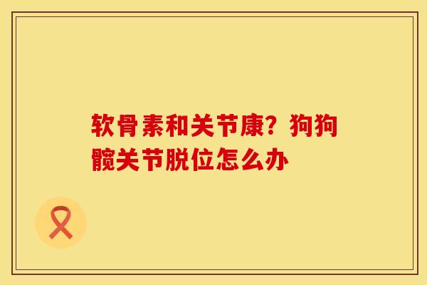 软骨素和关节康？狗狗髋关节脱位怎么办