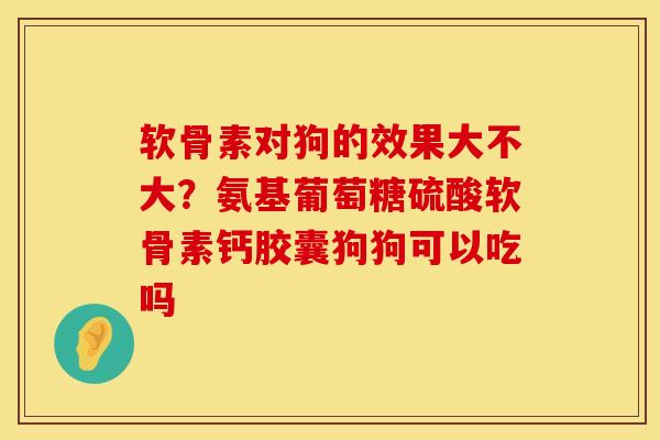 软骨素对狗的效果大不大？氨基葡萄糖硫酸软骨素钙胶囊狗狗可以吃吗
