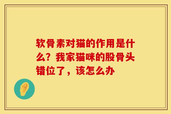 软骨素对猫的作用是什么？我家猫咪的股骨头错位了，该怎么办