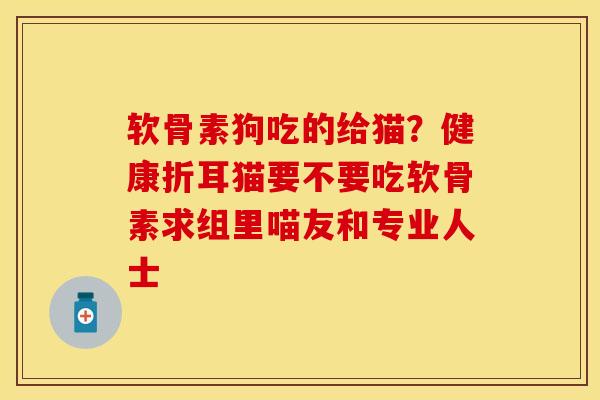 软骨素狗吃的给猫？健康折耳猫要不要吃软骨素求组里喵友和专业人士