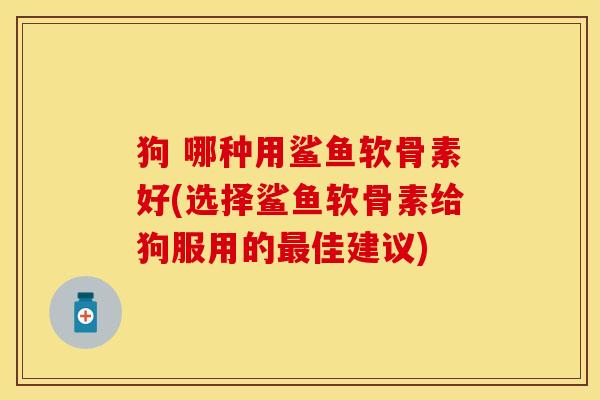 狗 哪种用鲨鱼软骨素好(选择鲨鱼软骨素给狗服用的最佳建议)