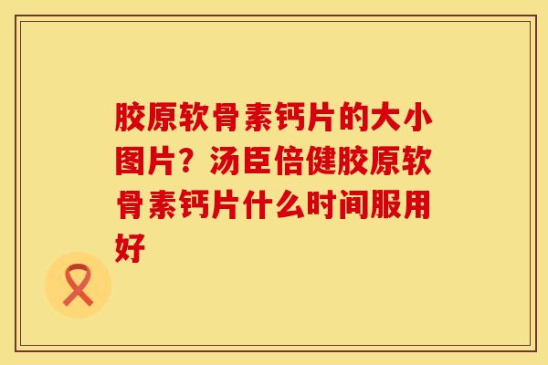 胶原软骨素钙片的大小图片?汤臣倍健胶原软骨素钙片什么时间服用好 胶原软骨素钙片的大小图片?汤臣倍健胶原软骨素钙片什么时间服用好