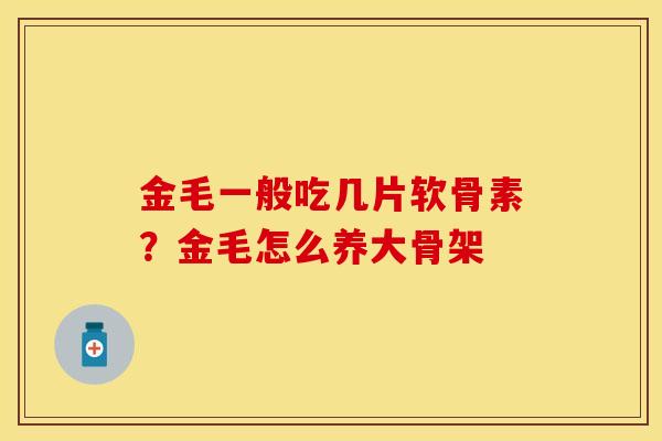 金毛一般吃几片软骨素？金毛怎么养大骨架