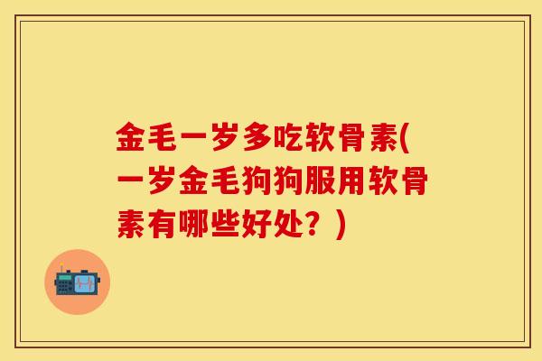 金毛一岁多吃软骨素(一岁金毛狗狗服用软骨素有哪些好处？)