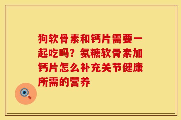 狗软骨素和钙片需要一起吃吗？氨糖软骨素加钙片怎么补充关节健康所需的营养