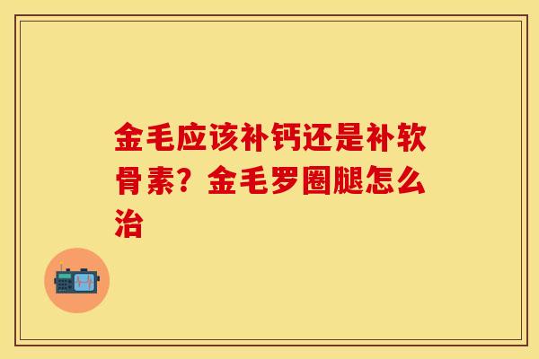 金毛应该补钙还是补软骨素？金毛罗圈腿怎么治