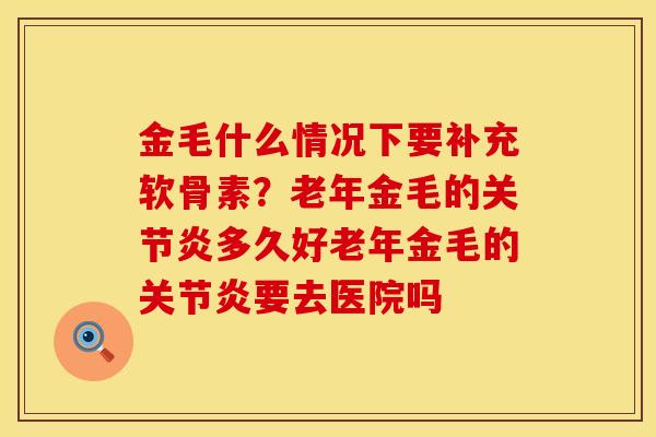 金毛什么情况下要补充软骨素？老年金毛的关节炎多久好老年金毛的关节炎要去医院吗