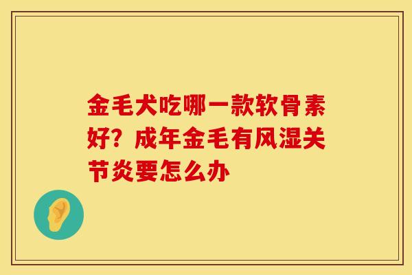 金毛犬吃哪一款软骨素好？成年金毛有风湿关节炎要怎么办