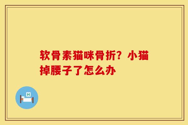 软骨素猫咪骨折？小猫掉腰子了怎么办