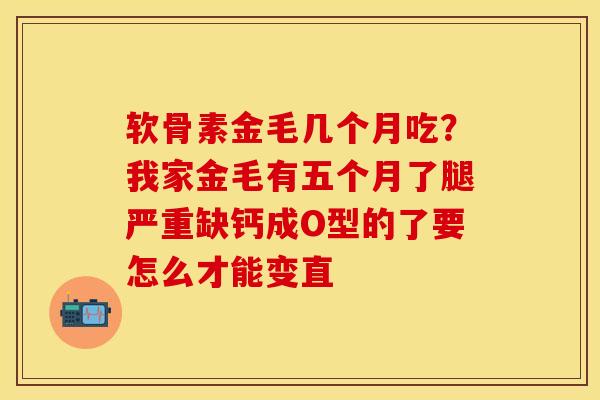 软骨素金毛几个月吃？我家金毛有五个月了腿严重缺钙成O型的了要怎么才能变直