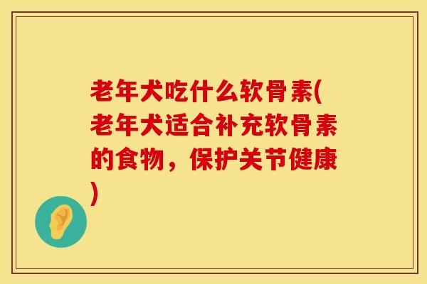 老年犬吃什么软骨素(老年犬适合补充软骨素的食物，保护关节健康)