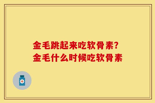 金毛跳起来吃软骨素？金毛什么时候吃软骨素