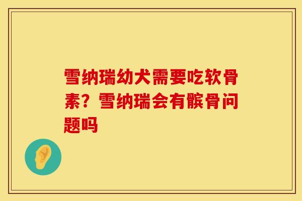 雪纳瑞幼犬需要吃软骨素？雪纳瑞会有髌骨问题吗