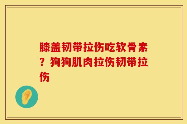 膝盖韧带拉伤吃软骨素？狗狗肌肉拉伤韧带拉伤