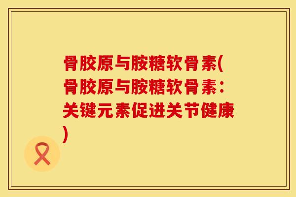 骨胶原与胺糖软骨素(骨胶原与胺糖软骨素：关键元素促进关节健康)