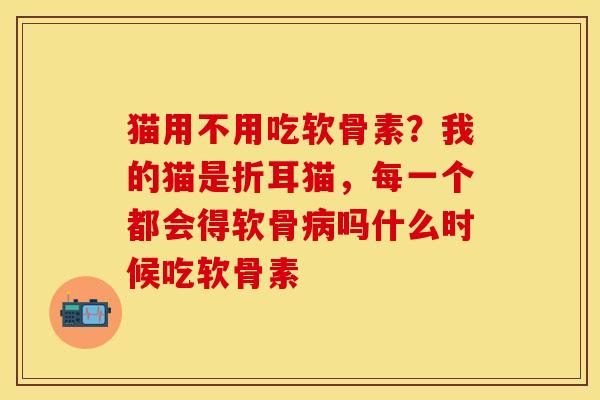 猫用不用吃软骨素？我的猫是折耳猫，每一个都会得软骨吗什么时候吃软骨素