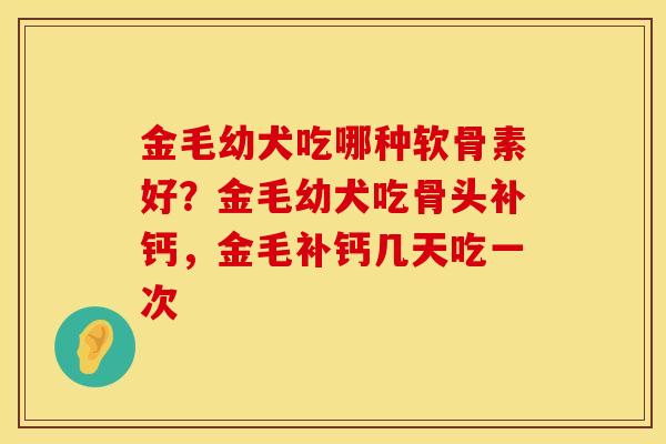 金毛幼犬吃哪种软骨素好？金毛幼犬吃骨头补钙，金毛补钙几天吃一次
