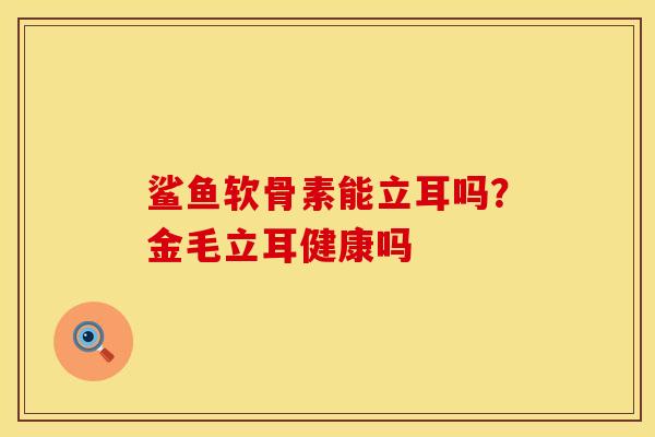 鲨鱼软骨素能立耳吗？金毛立耳健康吗