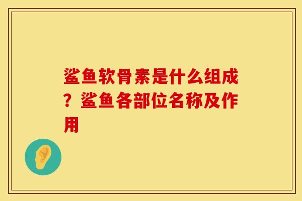鲨鱼软骨素是什么组成？鲨鱼各部位名称及作用
