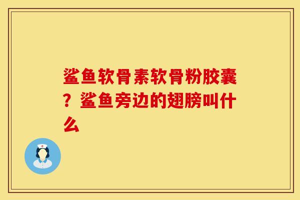 鲨鱼软骨素软骨粉胶囊?鲨鱼旁边的翅膀叫什么 鲨鱼软骨素软骨粉胶囊?鲨鱼旁边的翅膀叫什么