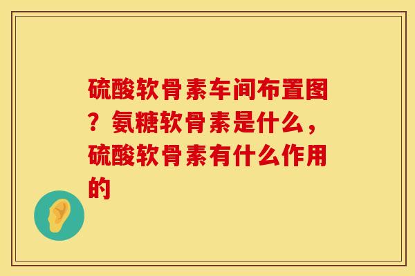 硫酸软骨素车间布置图？氨糖软骨素是什么，硫酸软骨素有什么作用的