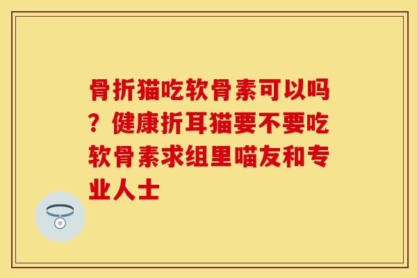 骨折猫吃软骨素可以吗？健康折耳猫要不要吃软骨素求组里喵友和专业人士
