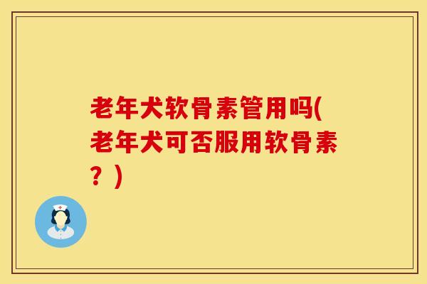 老年犬软骨素管用吗(老年犬可否服用软骨素？)