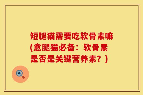 短腿猫需要吃软骨素嘛(愈腿猫必备：软骨素是否是关键营养素？)